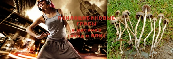 прущий лед Дмитровск