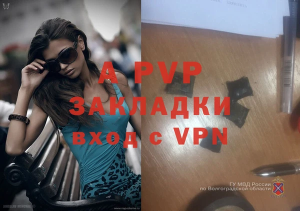a pvp Алзамай