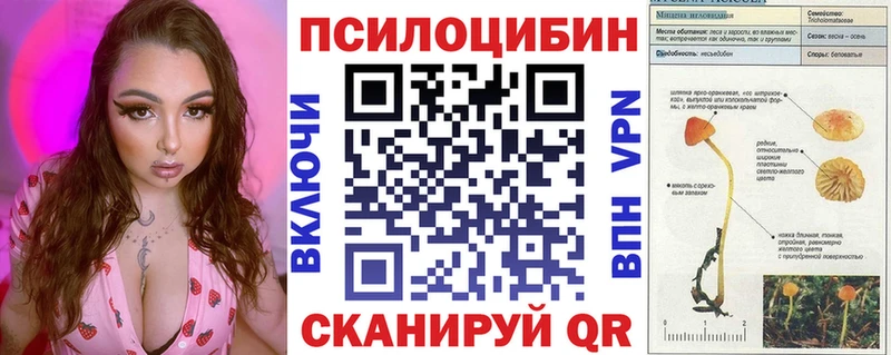KRAKEN зеркало  Катав-Ивановск  Галлюциногенные грибы Psilocybe  как найти закладки 